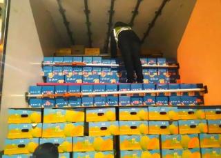 高速收費(fèi)站嚴(yán)厲打擊假冒綠色通道車輛，保障政策落實(shí)